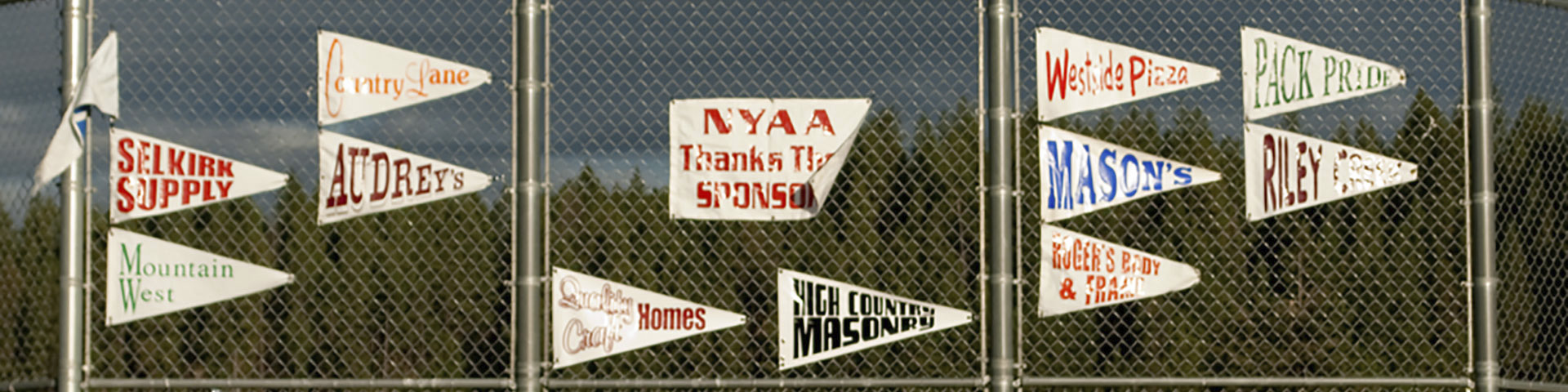 category 0 banner