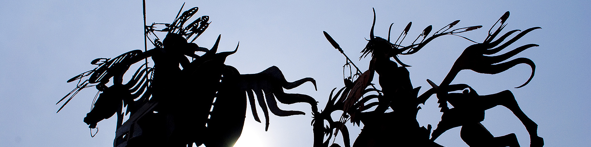 category 0 banner