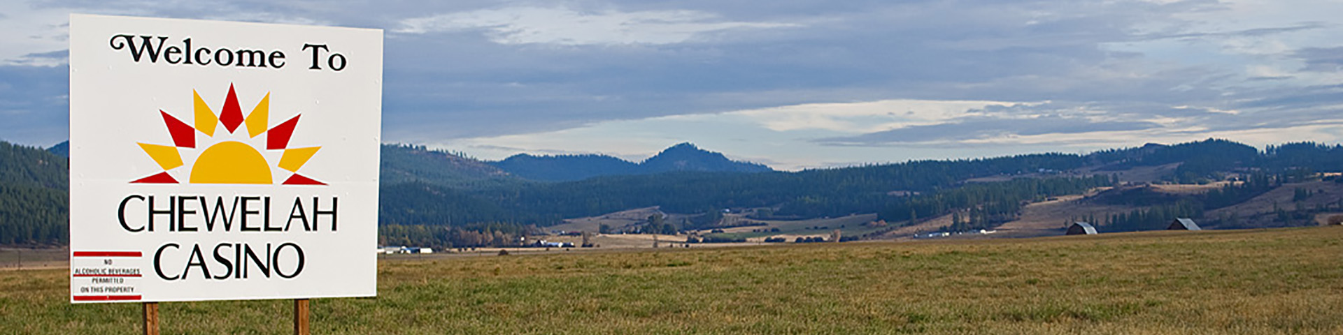 category 7 banner