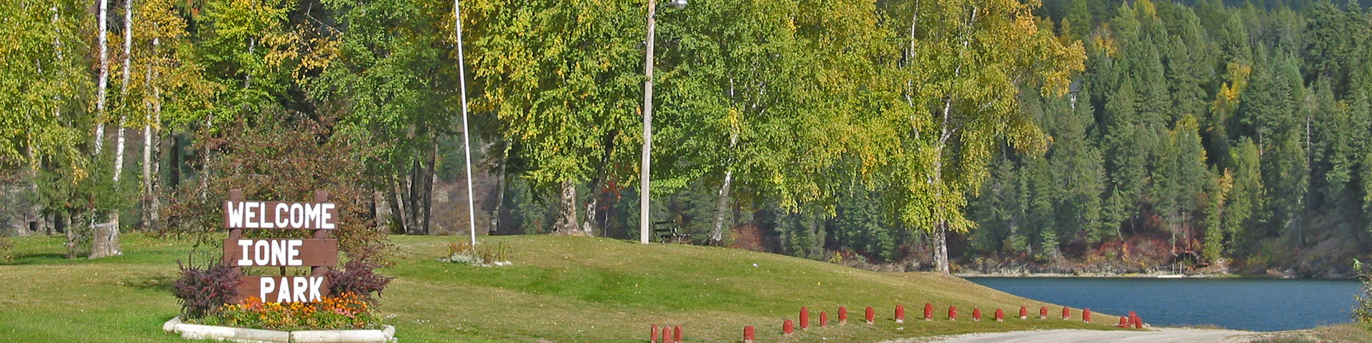 category 7 banner